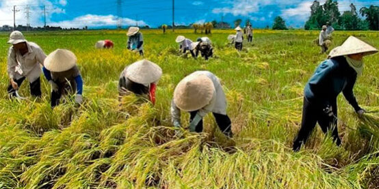 Untitled-1-ba7e95454350e7dd7cb21e09ba34c766