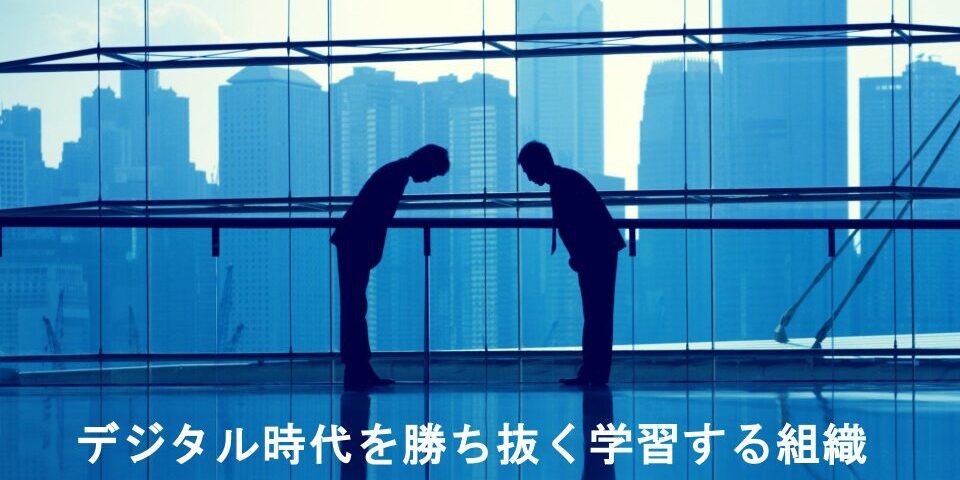 日本企業文化の変革経験、デジタル変革の五領域（顧客、競争、データなど）に関する戦略、そして学習組織におけるデジタル成熟度評価